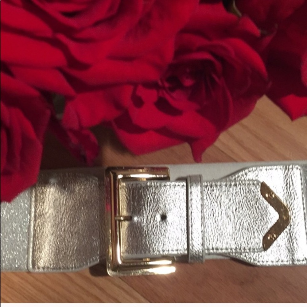 Silver Belt